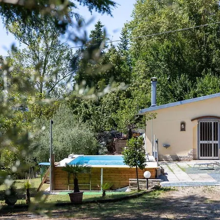 Appartamento La Pineta Homes By Interhome *